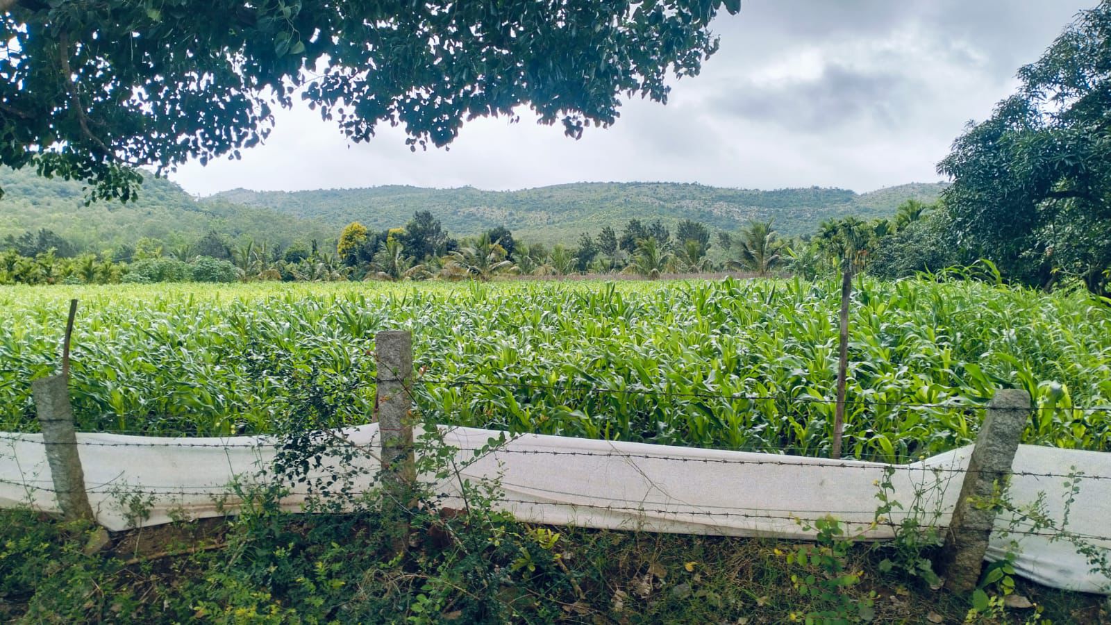 2 Acres Land for Sale